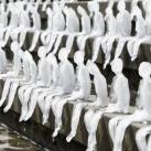 thumbs les meilleures photos 2009 selon life 042 Les meilleures photos 2009 selon LIFE (47 photos)