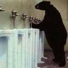 thumbs ce quon peut voir dans les toilettes 010 Ce quon peut voir dans les toilettes (29 photos)