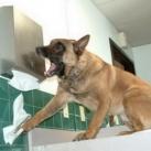 thumbs ce quon peut voir dans les toilettes 011 Ce quon peut voir dans les toilettes (29 photos)