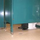 thumbs ce quon peut voir dans les toilettes 015 Ce quon peut voir dans les toilettes (29 photos)