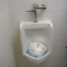 thumbs ce quon peut voir dans les toilettes 018 Ce quon peut voir dans les toilettes (29 photos)