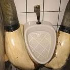 thumbs ce quon peut voir dans les toilettes 027 Ce quon peut voir dans les toilettes (29 photos)