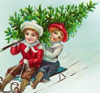 Estonie: allez chercher votre sapin de Noël en forêt