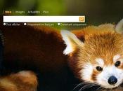 Firefox chez Bing