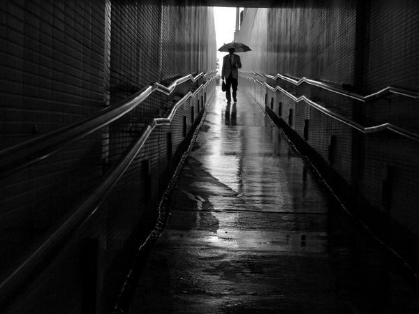 Rui Palha - Untitled.jpg