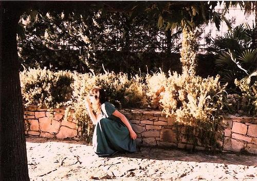 Lawn Factory/Myra Lee