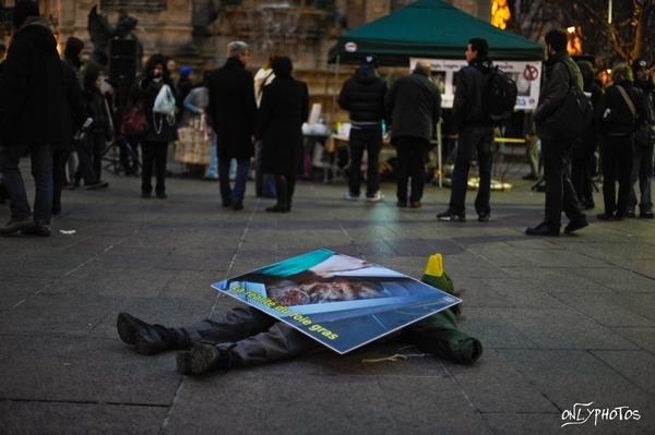 rassemblement-anti-gavage
