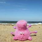 thumbs sweeney le cochon 008 Les aventures de Sweeney le cochon (18 photos)