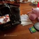thumbs sweeney le cochon 013 Les aventures de Sweeney le cochon (18 photos)