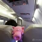 thumbs sweeney le cochon 002 Les aventures de Sweeney le cochon (18 photos)