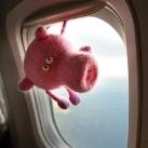 thumbs sweeney le cochon 003 Les aventures de Sweeney le cochon (18 photos)