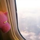 thumbs sweeney le cochon 004 Les aventures de Sweeney le cochon (18 photos)