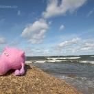 thumbs sweeney le cochon 005 Les aventures de Sweeney le cochon (18 photos)