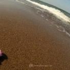 thumbs sweeney le cochon 006 Les aventures de Sweeney le cochon (18 photos)