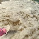 thumbs sweeney le cochon 007 Les aventures de Sweeney le cochon (18 photos)