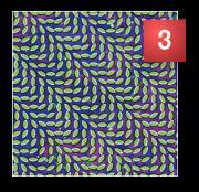 Animal Collective - Merriweather Post Pavilion