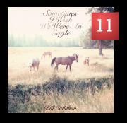 Bill Callahan - Sometimes I Wish We Were An Eagle