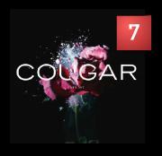 Cougar - Patriot