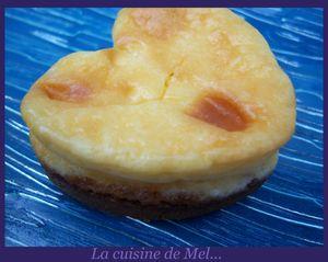 Cheese_cake_sp_culoos_1