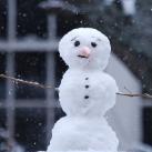 thumbs des bonhomme de neige 007 Des bonhommes de neige =D (33 photos)