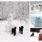 thumbs des bonhomme de neige 017 Des bonhommes de neige =D (33 photos)