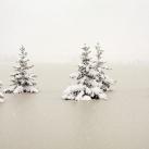 thumbs les meilleures photos de lannee 038 Les meilleures photos de lannée (101 photos)