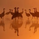 thumbs les meilleures photos de lannee 003 Les meilleures photos de lannée (101 photos)