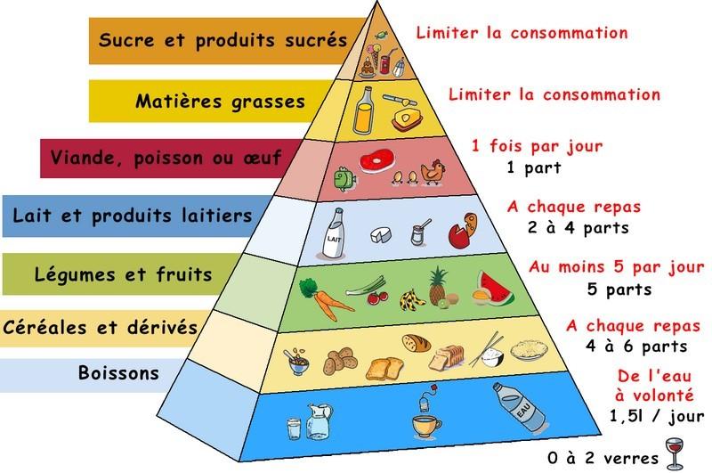 Bon régime alimentaire