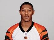 Chris Henry décédé