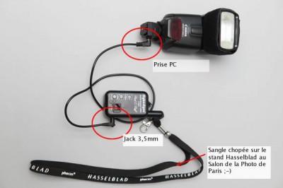 Alien-Bees Alien-Bees