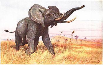 350px-Afrikanischer_Elefant-painting