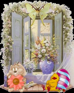 Impossible de publier mes photos, autre partage