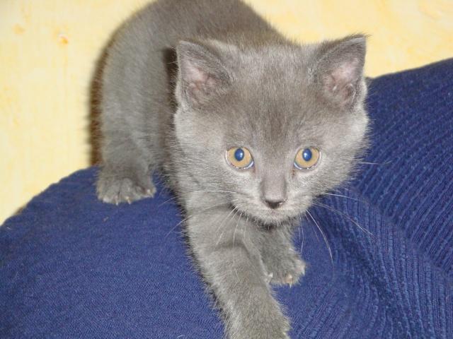 La petite famille du clan d’Iriwal : presque six semaines…