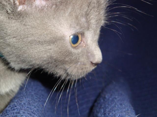 La petite famille du clan d’Iriwal : presque six semaines…