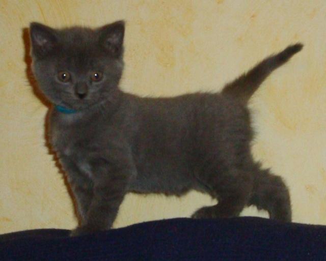 La petite famille du clan d’Iriwal : presque six semaines…