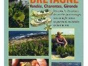 Glaner pieds dans l'eau