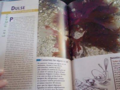 Glaner les pieds dans l'eau