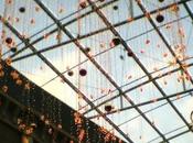 Haïku Véronique Dubois