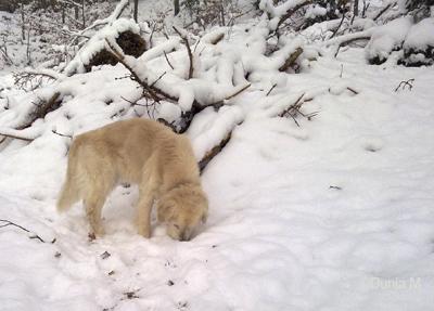 La Chaux-de-Fonds:  19-12-2009
