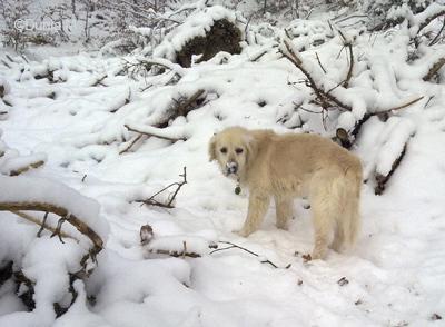 La Chaux-de-Fonds:  19-12-2009