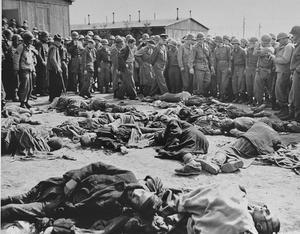 Holocauste3 Le négationnisme , un ennemi à combattre.