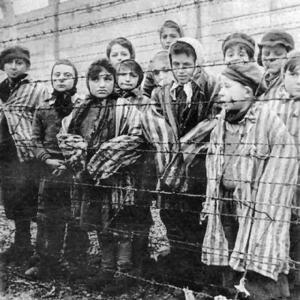 Holocauste7 Le négationnisme , un ennemi à combattre.