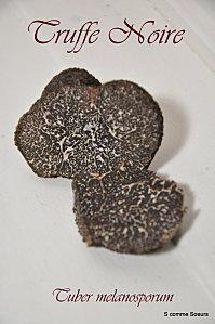 Velouté de pommes de terre au beurre de truffe veloutébiscuits 054