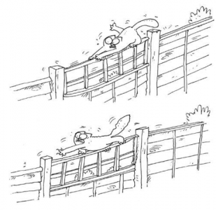 Simon's Cat sur ActuaLitté, dernière : chat-peau, pour la sortie (14)