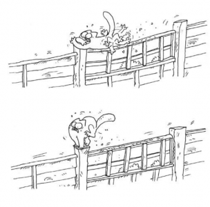 Simon's Cat sur ActuaLitté, dernière : chat-peau, pour la sortie (14)