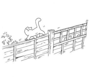 Simon's Cat sur ActuaLitté, dernière : chat-peau, pour la sortie (14)
