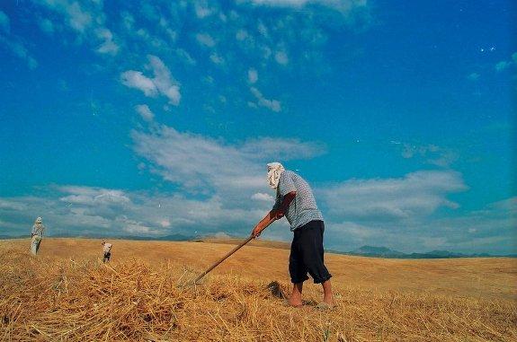 Photos ou calomnie ?