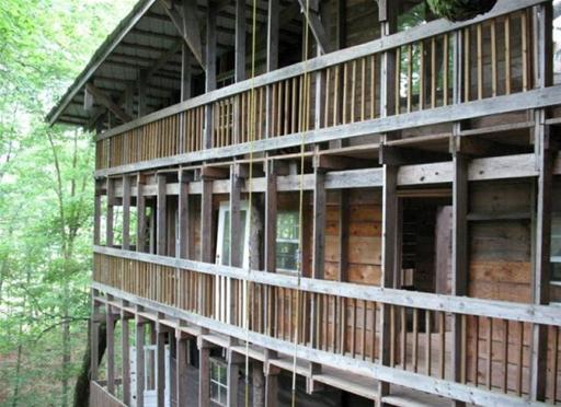 Des cabanes dans les arbres