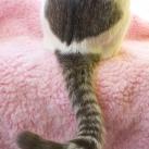 thumbs coeur 012 Des coeurs (37 photos)