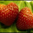 thumbs coeur 006 Des coeurs (37 photos)